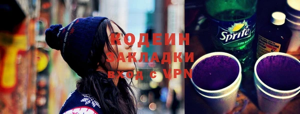 индика Алзамай