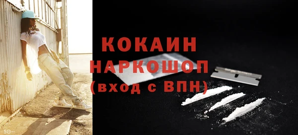 индика Алзамай