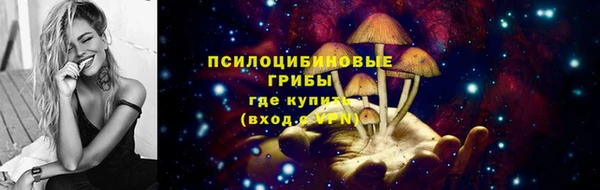 индика Алзамай