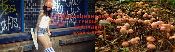 стаф Сафоново