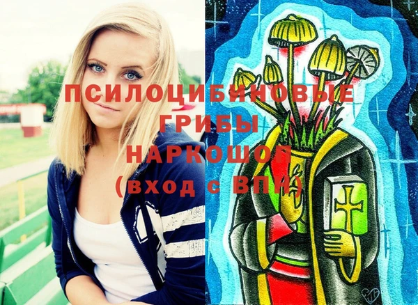 индика Алзамай