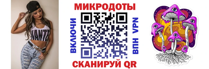 OMG как войти  Борзя  Псилоцибиновые грибы MAGIC MUSHROOMS  даркнет сайт 