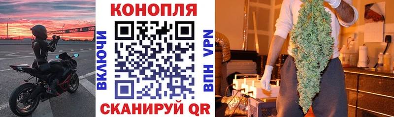 купить наркотик  Борзя  Канабис тримм 